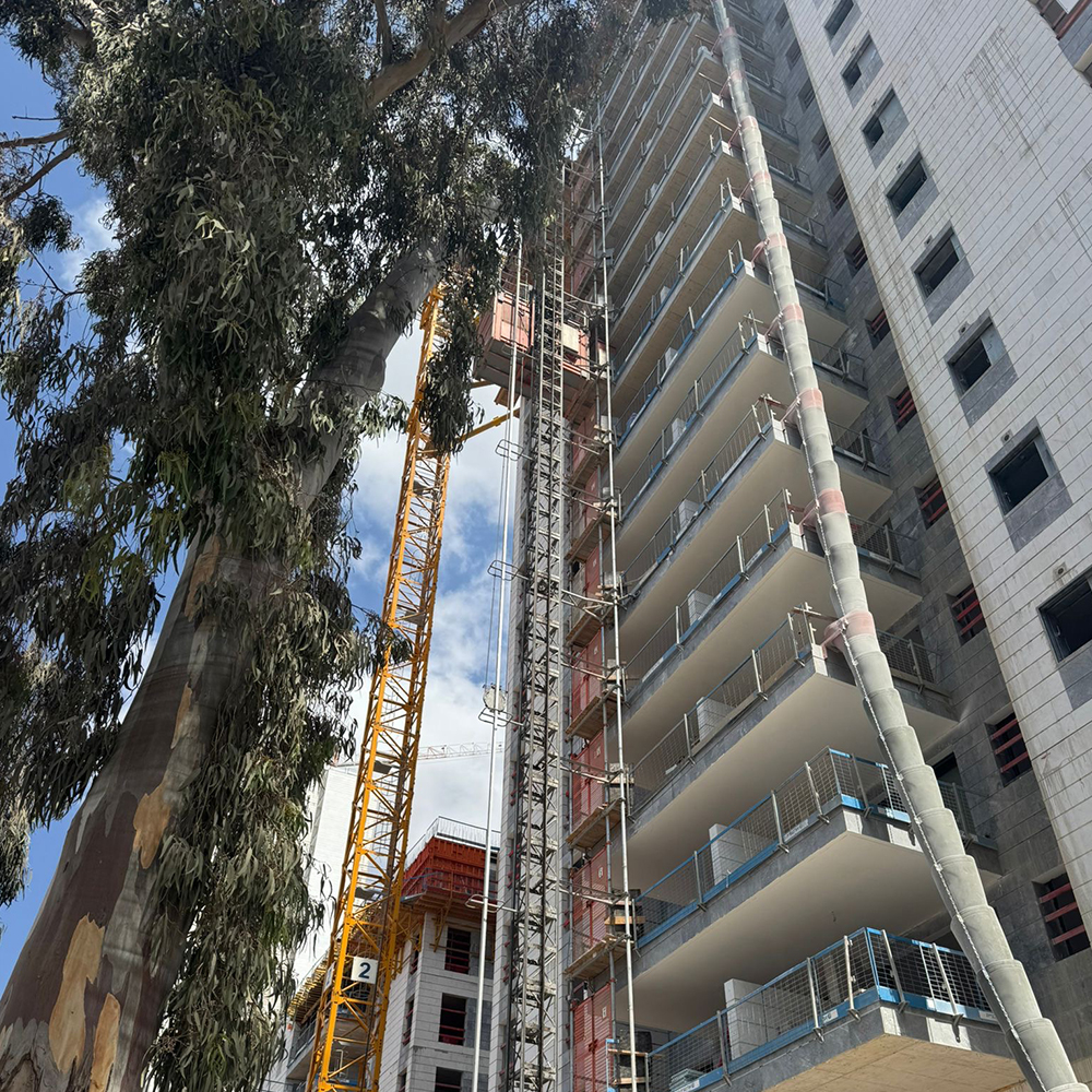 אלקטרה-4